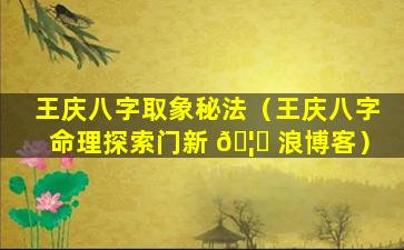 王庆八字取象秘法（王庆八字命理探索门新 🦆 浪博客）